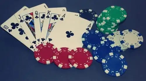 Feature overview image for 3666 bet sports guidance and casino-style sections